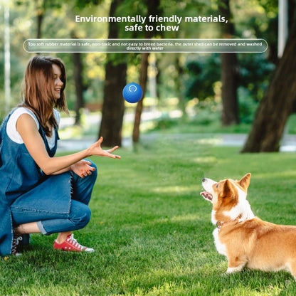 Intelligent Electric Pet Jumping Ball